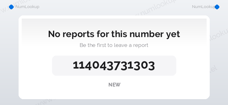 Phone number details for +114043731303