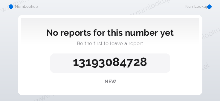 Phone number details for +13193084728