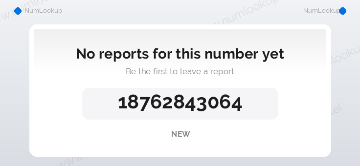 Phone number details for +18762843064