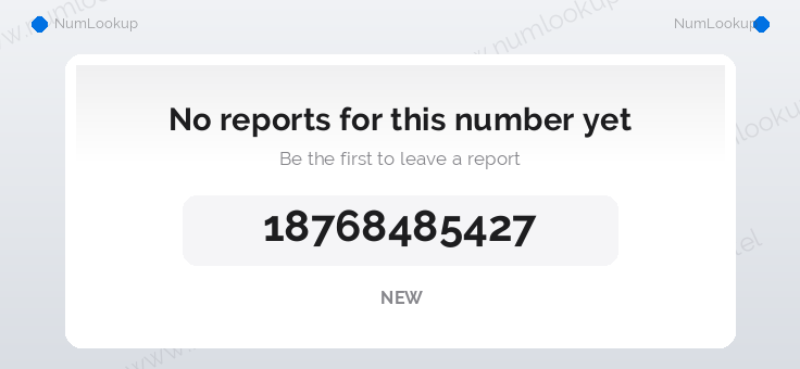 Phone number details for +18768485427