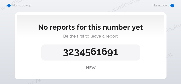 Phone number details for 3234561691