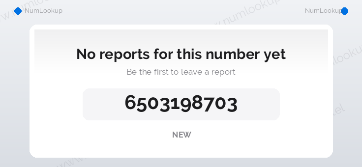 Phone number details for 6503198703