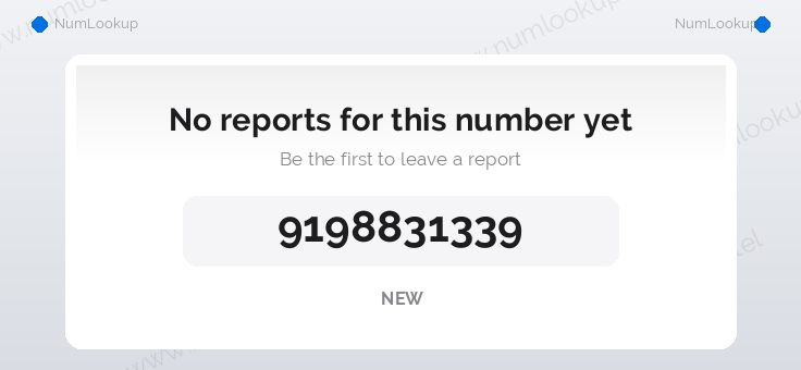 Phone number details for 9198831339